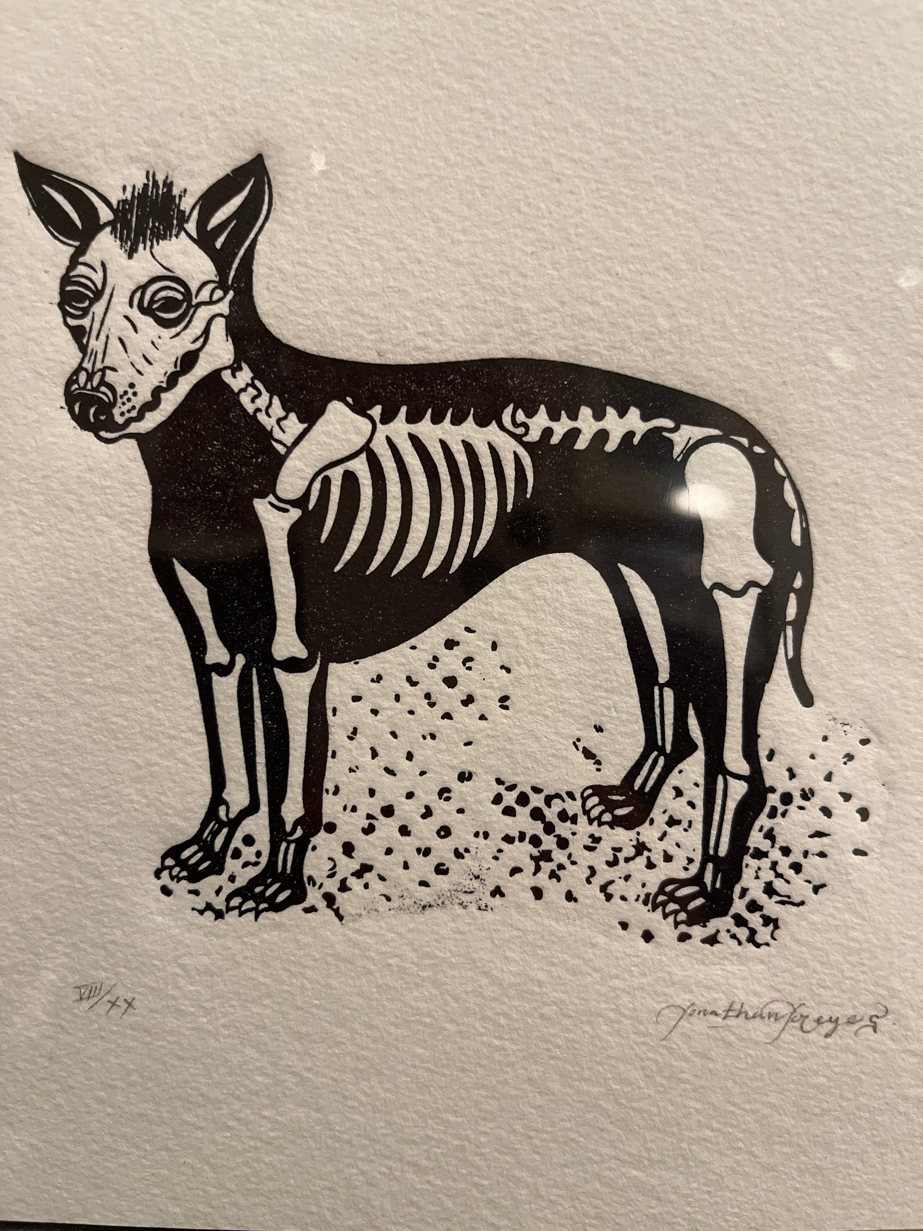 Xolo