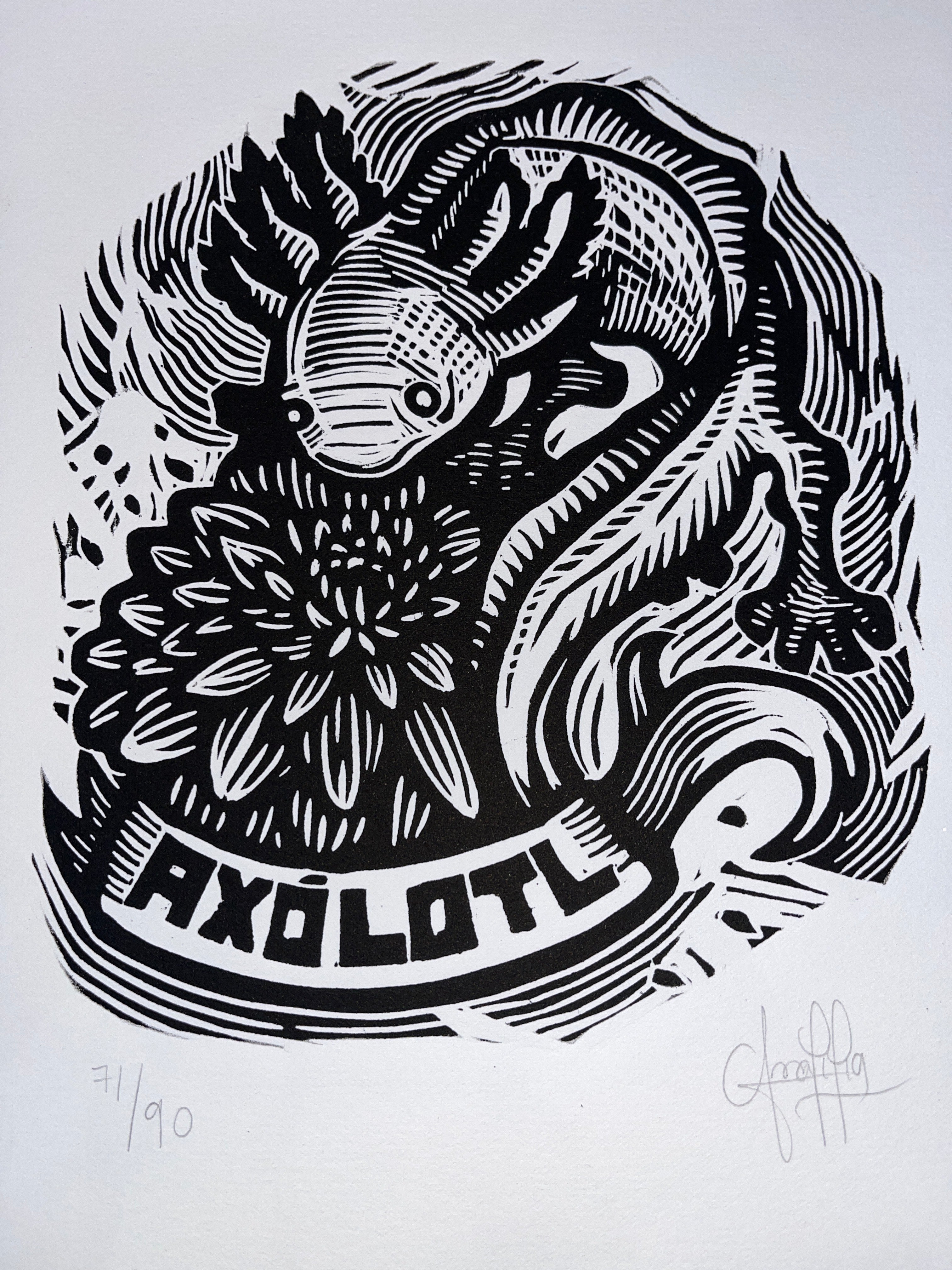 Axolotl